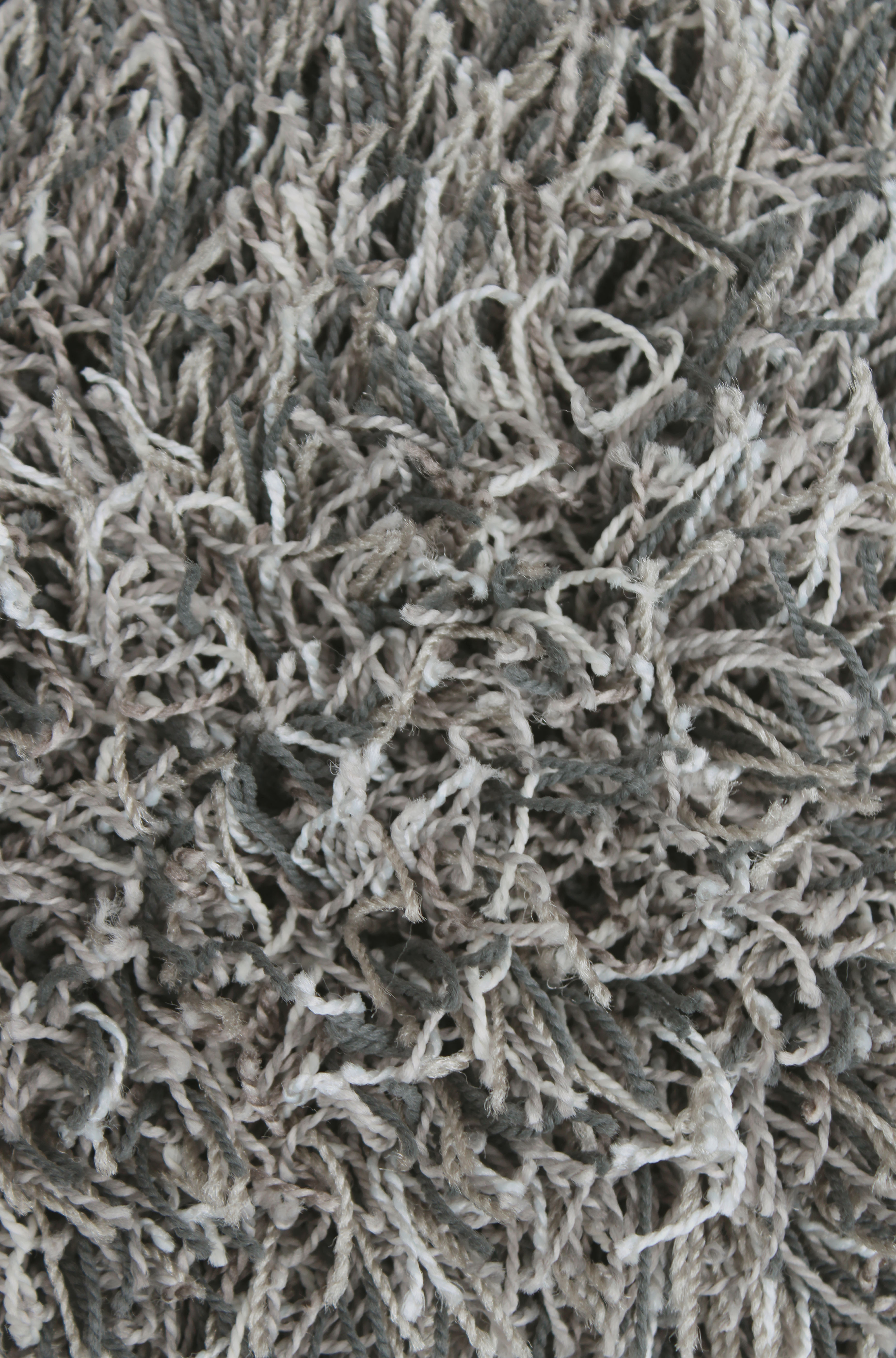 Shades with Gray Shag Rug 